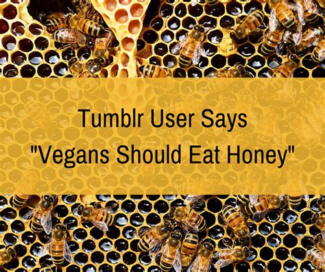 Why you should eat honey vegan